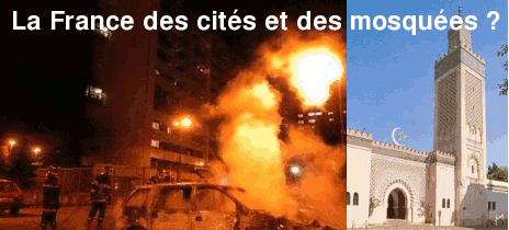 Reportage Islam tabligh en France